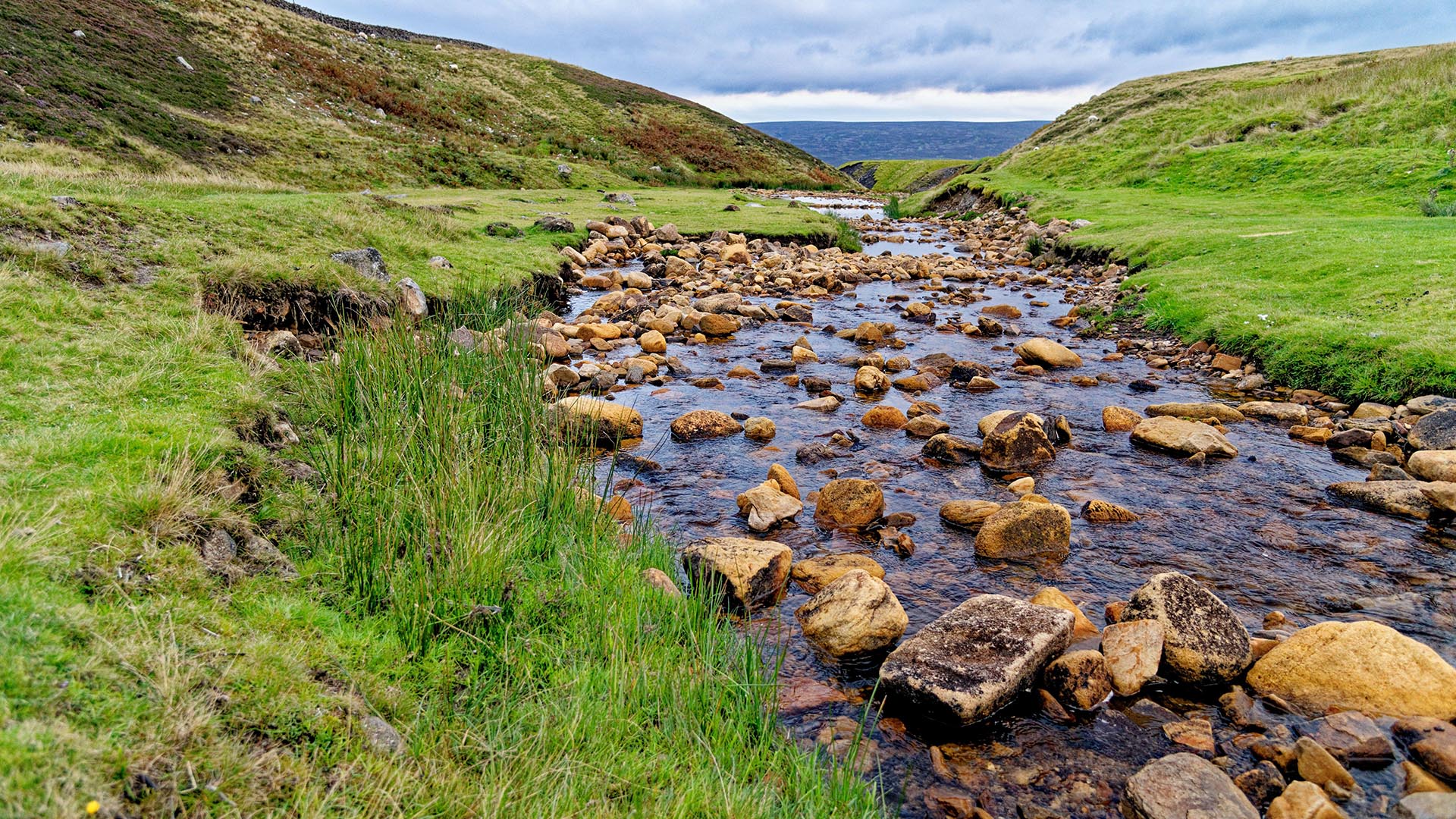 water in landscape
