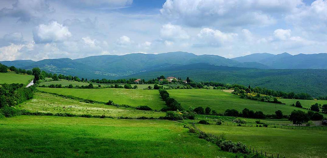 Green fields and blue sky above them