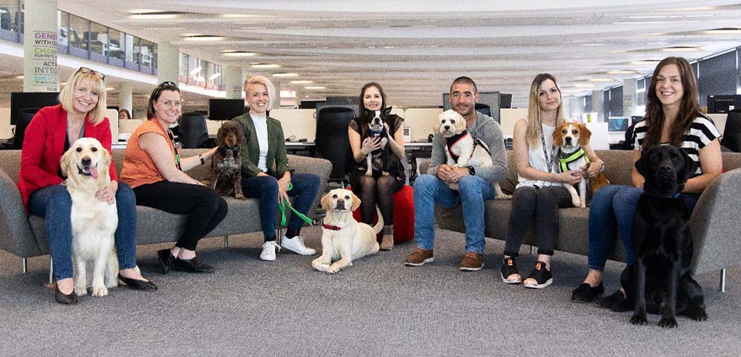 People with pets at work