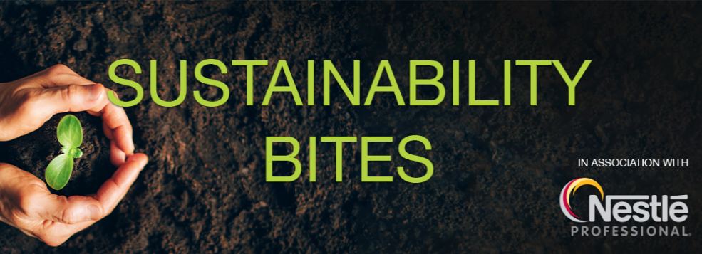Two hands in soil hold a small plant beginning to grow, Sustainability Bites written over the top of the image