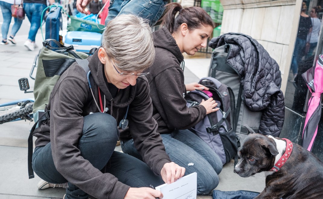 a vet tends to a dog on a public street 