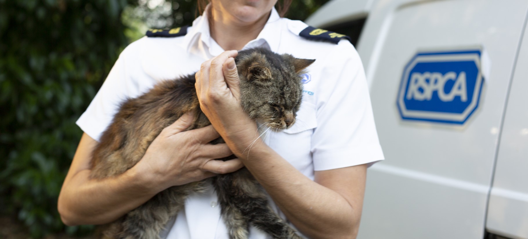 RSPCA officer holding a cat in their arms in front of an RSPCA van parked outside. 