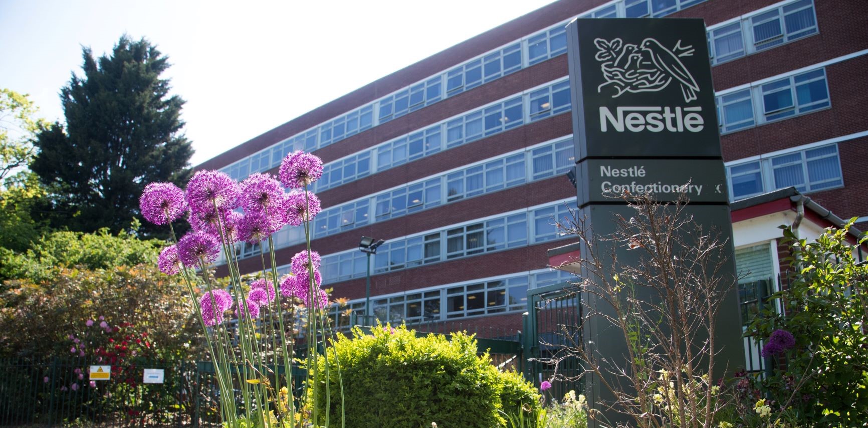 office with nestle sign