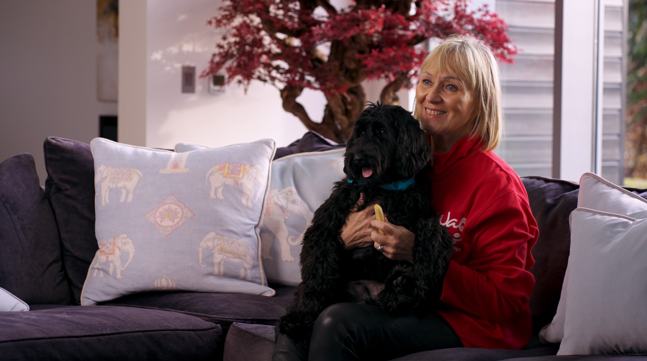 woman holding dog on while sitting on a sofa