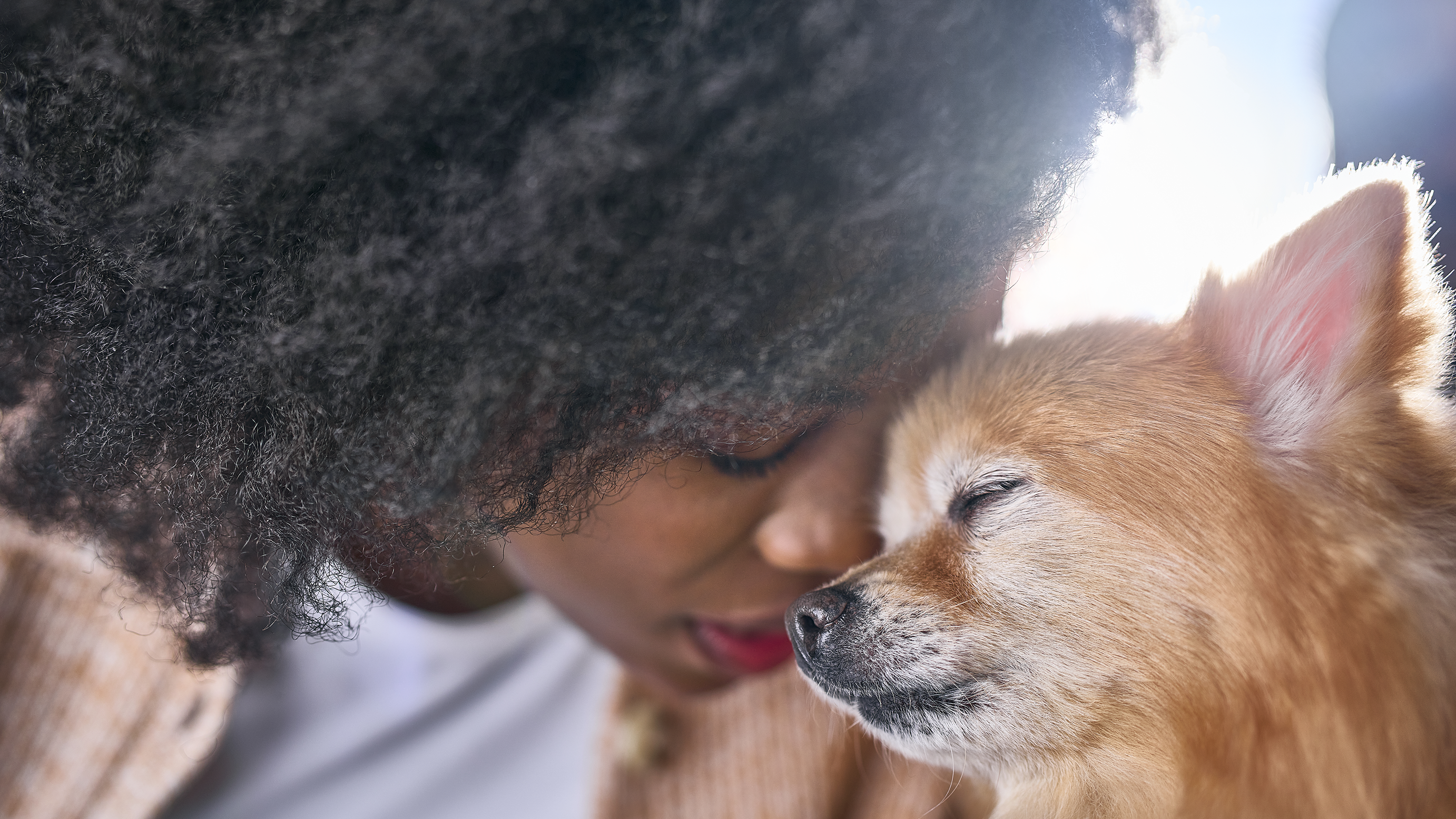 Woman hugging a pet dog