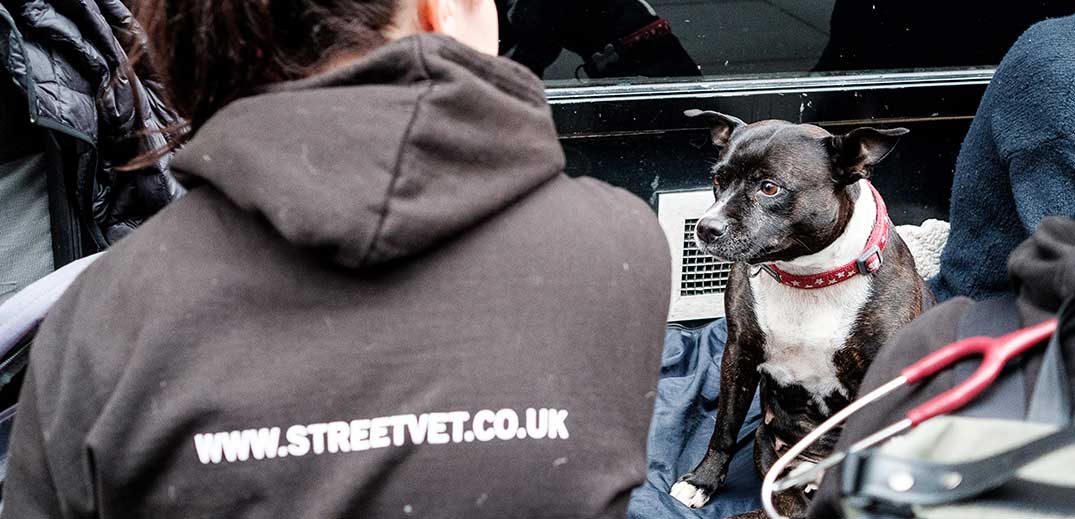 StreetVet charity supported with veterinary diets for pets