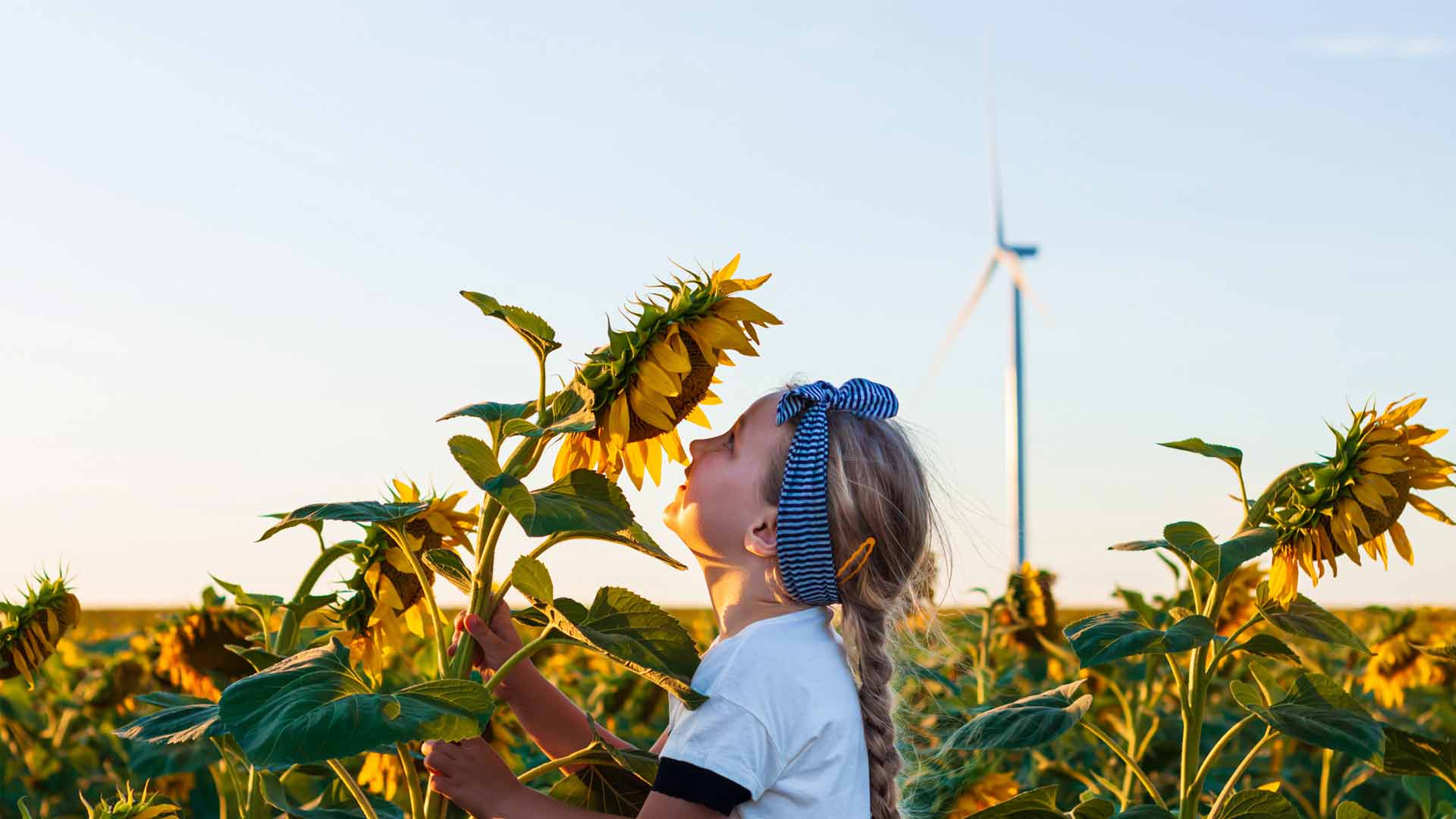 girl with sunflower