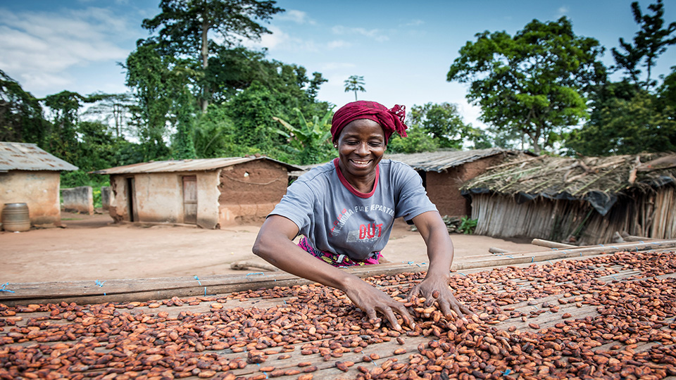 Introducing the Nestle Cocoa Series 