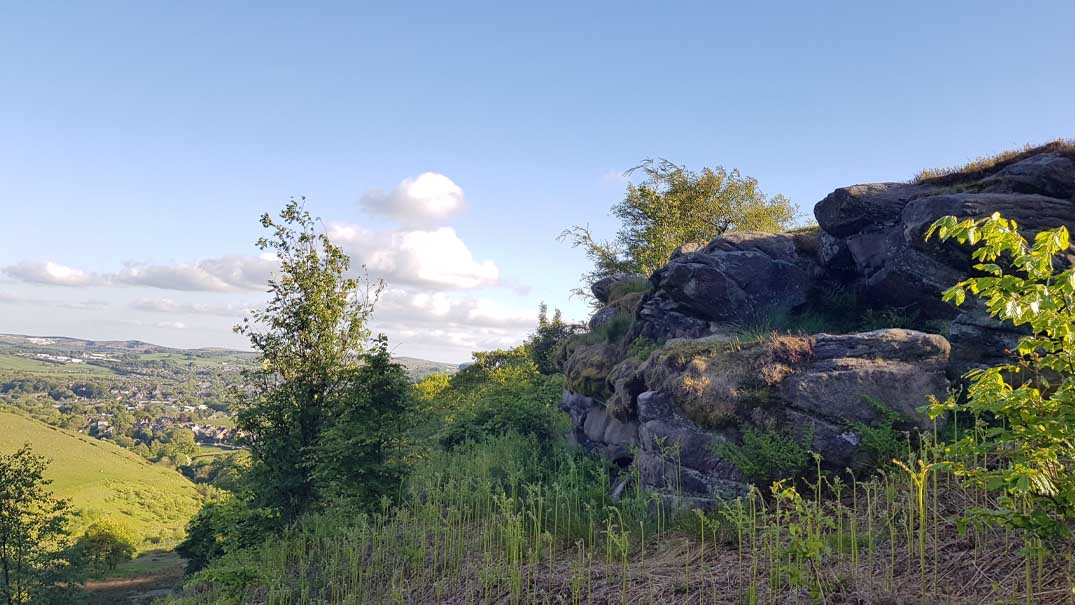 nature
