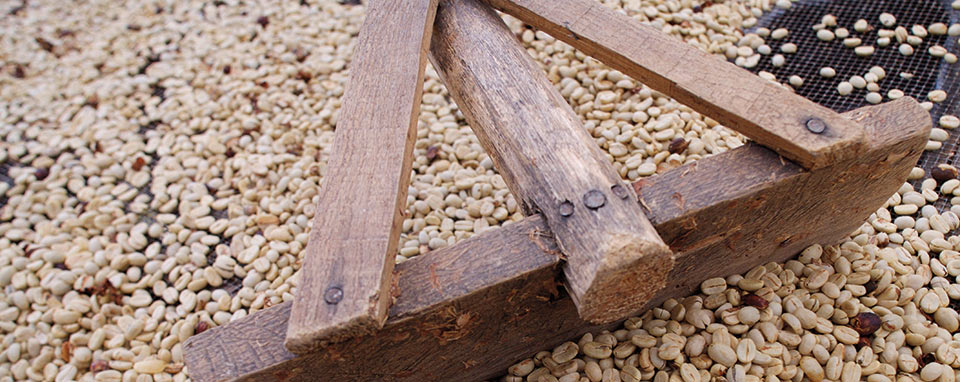 Coffee beans