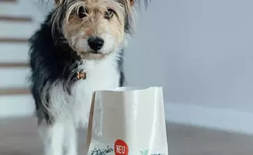 Petcare