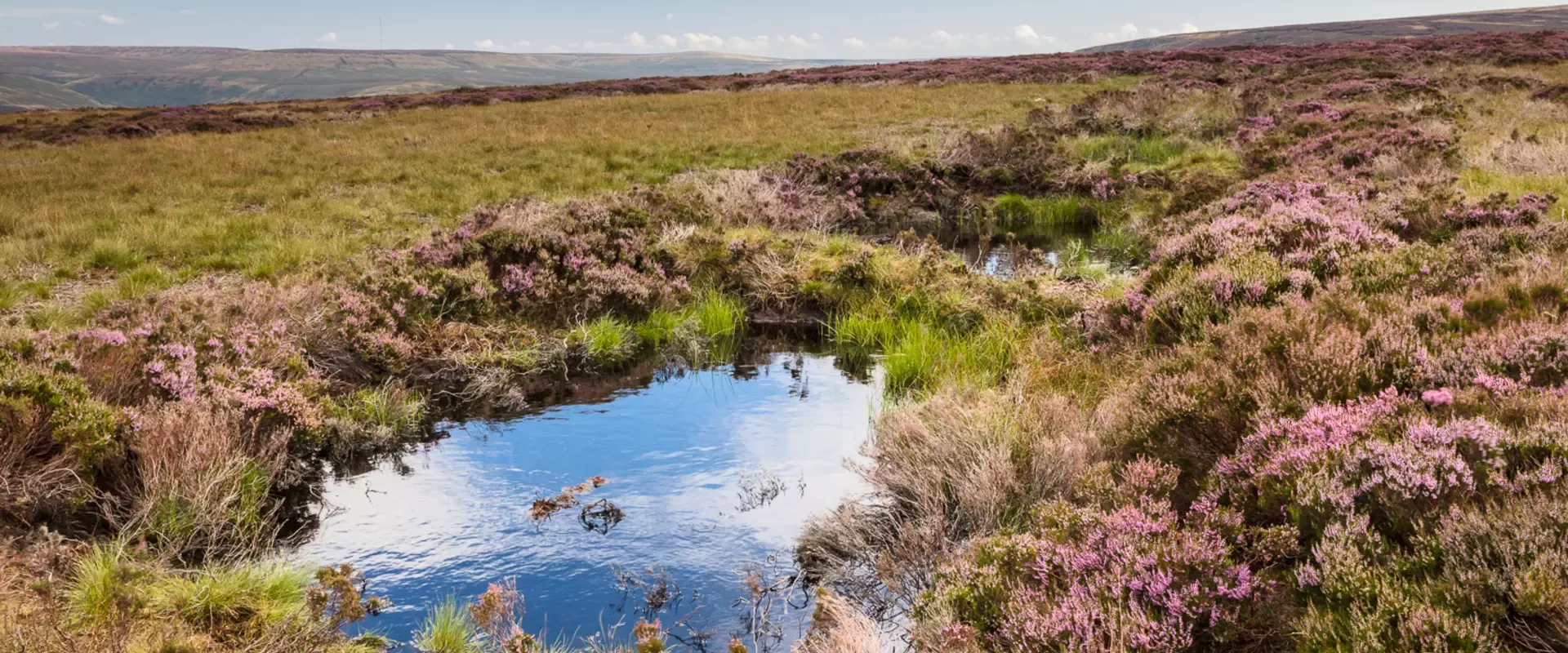 Water gully