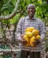 Creating Shared Value 2025 Report Cover - Man standing with cocoa pods