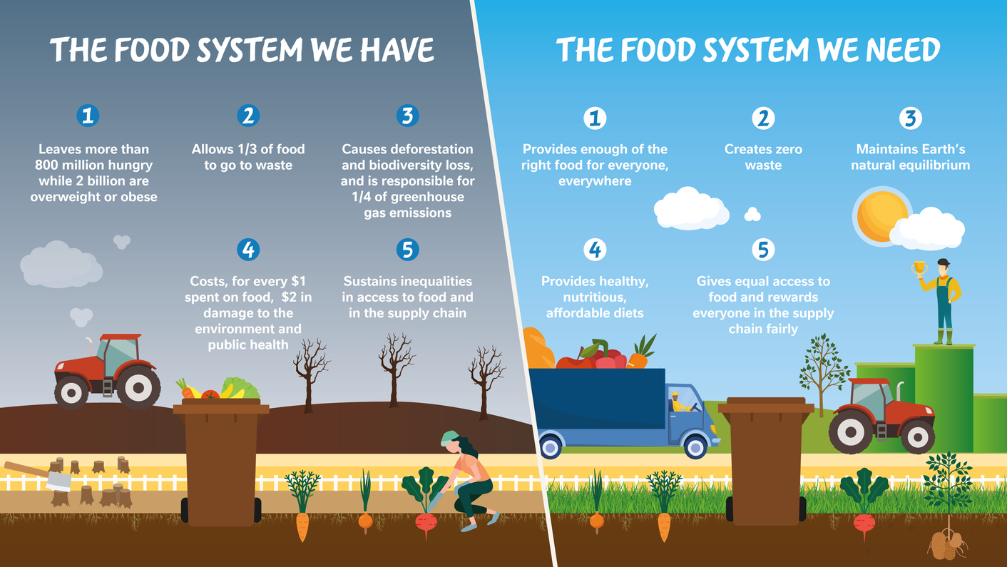 Nestle food infographic