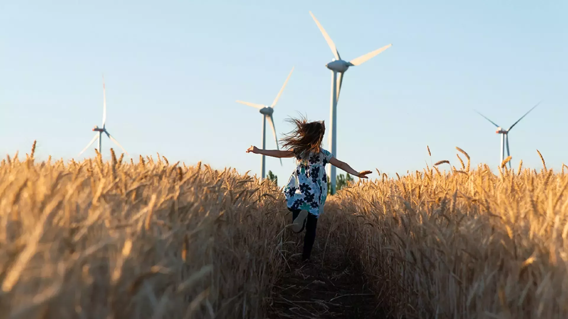 net-zero-header
