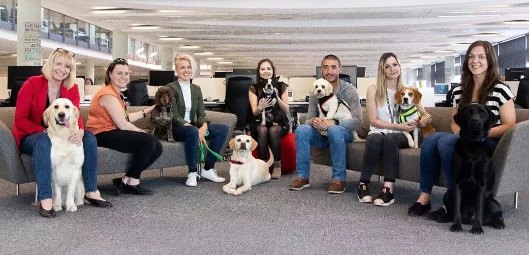 People with pets at work
