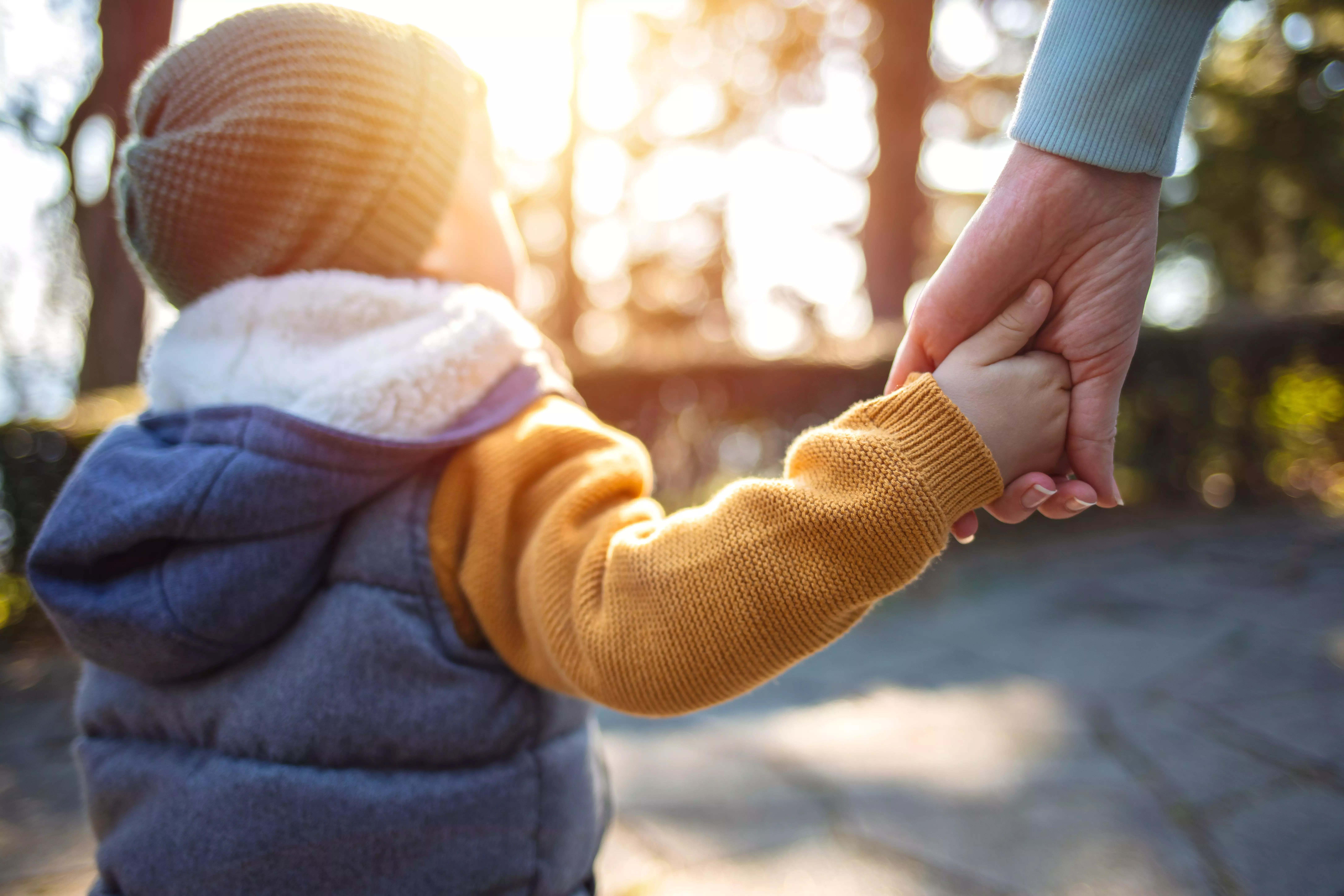 Little boy holding hand of adult