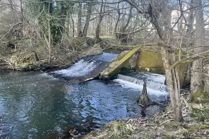 River Ecclestone