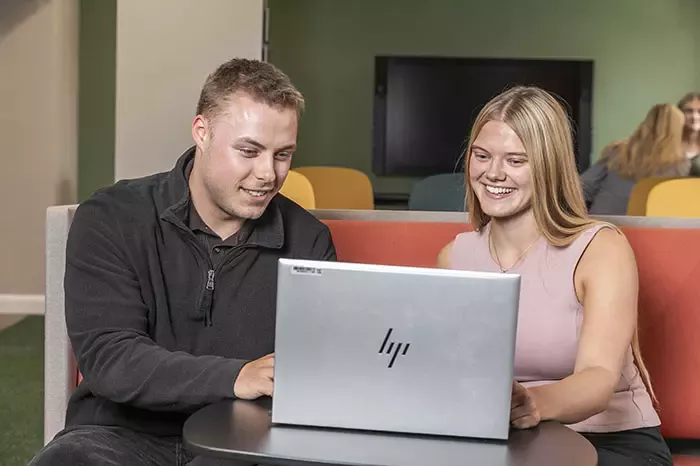 Sales Apprentice