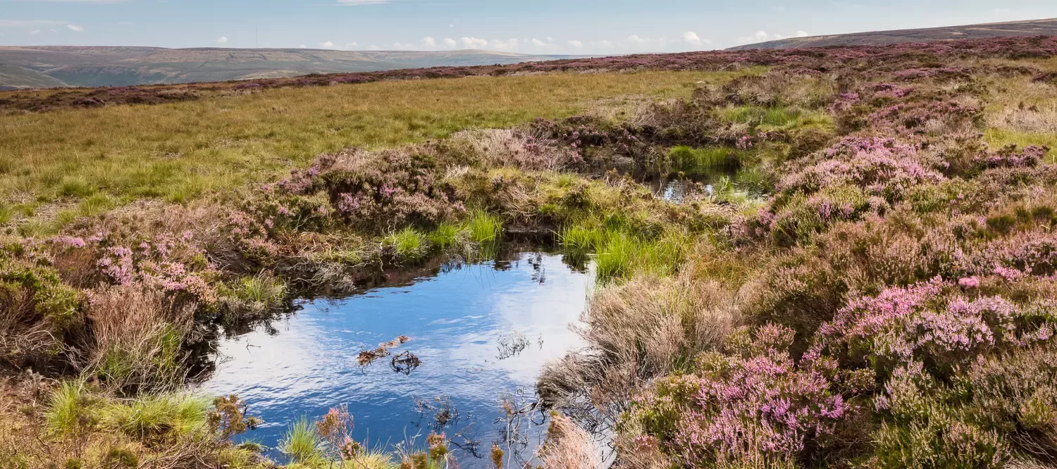 Water gully