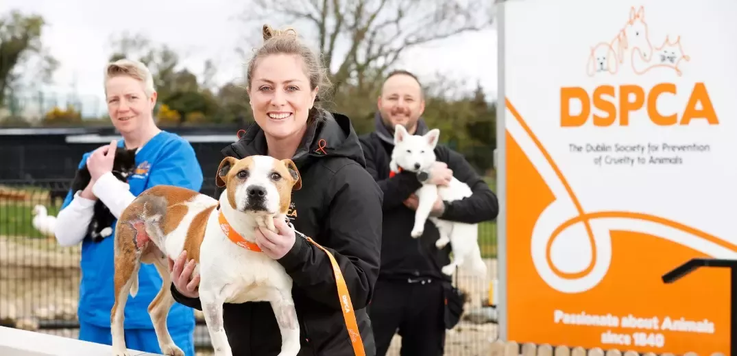 DSPCA lady holding a dog with two other people and dogs