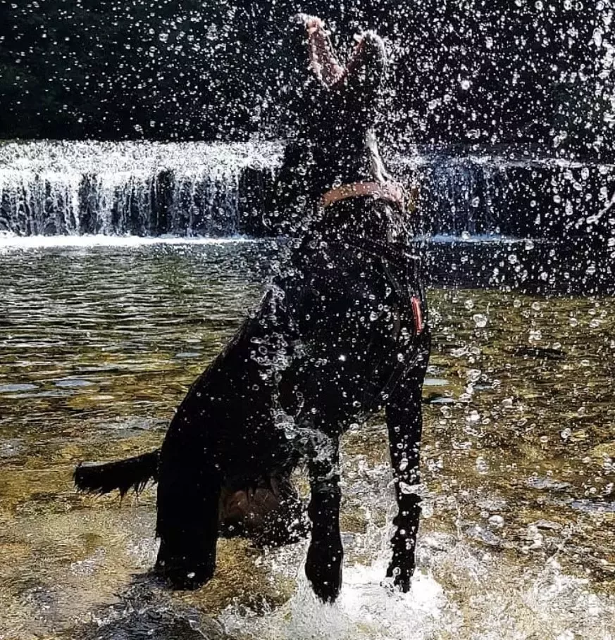 Darcey playing in water