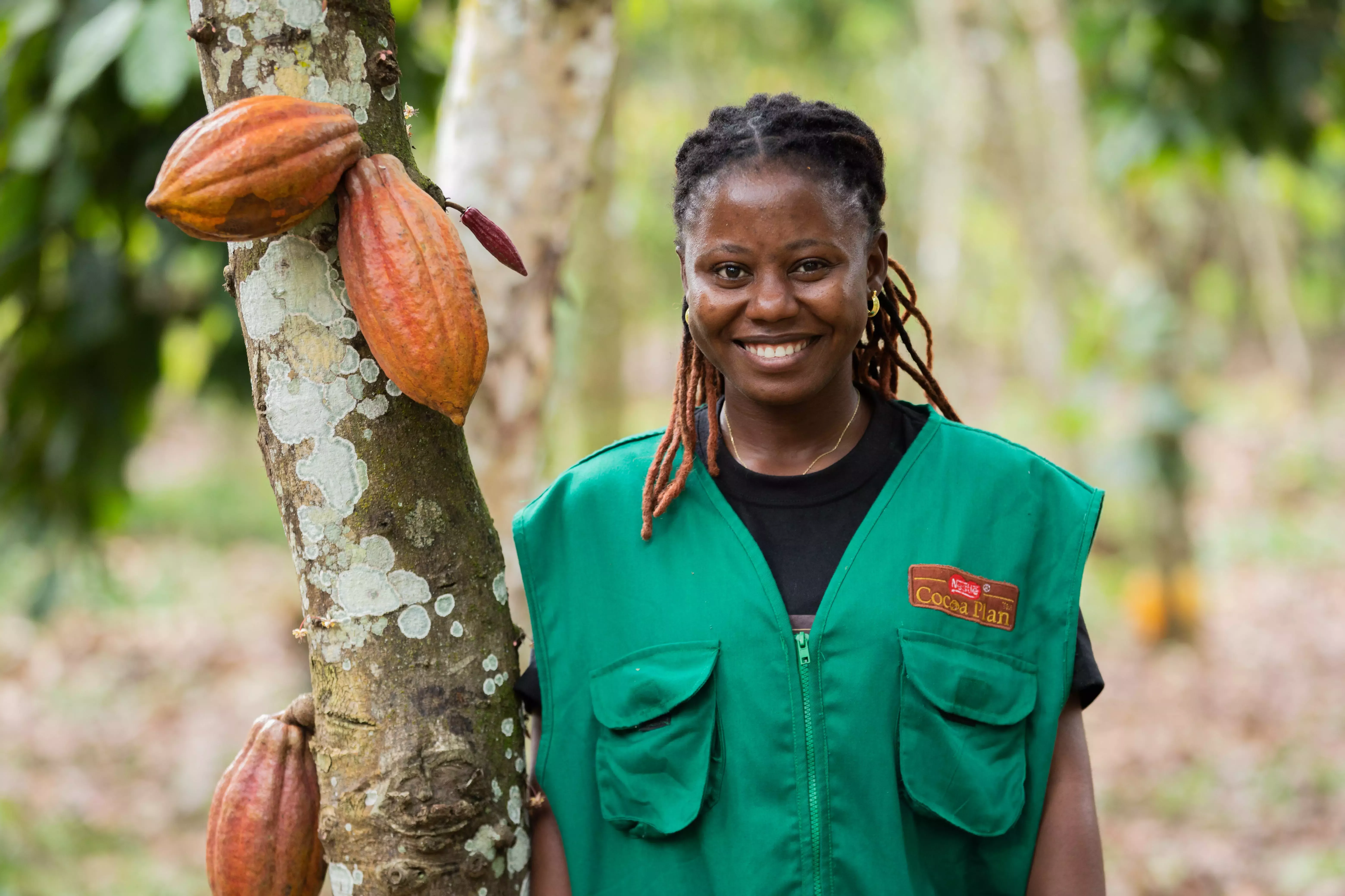 Woman picking cocoa