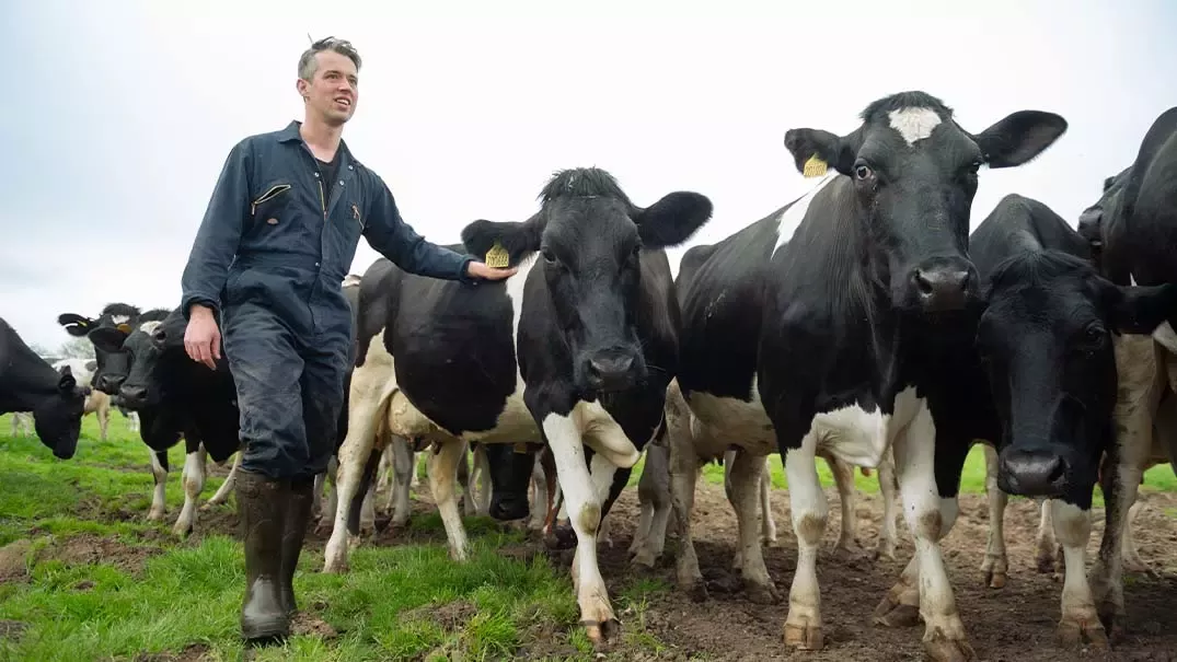 Nestle Locations Dairy Farm