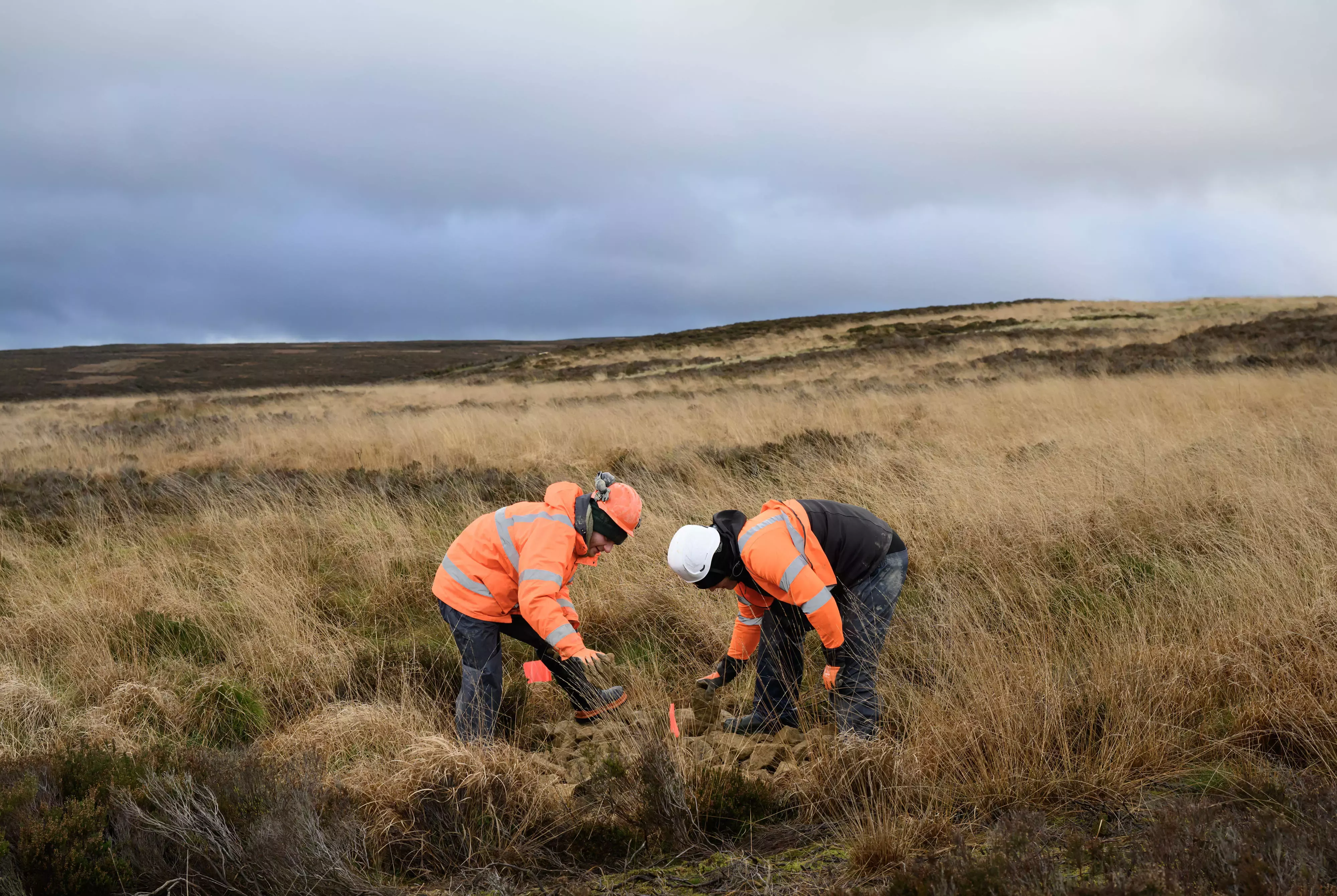 Two people in high vis standing in a field.
