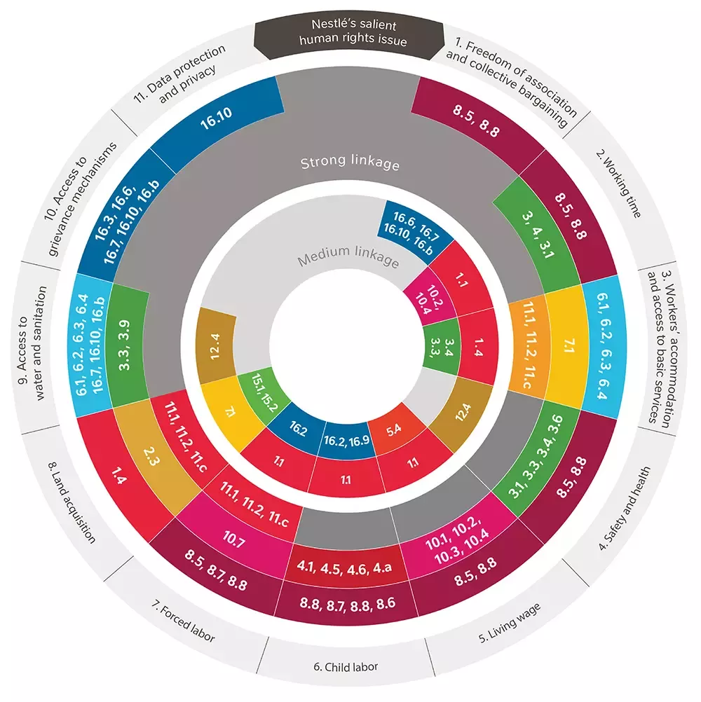 HUMAN RIGHTS INFOGRAPHIC