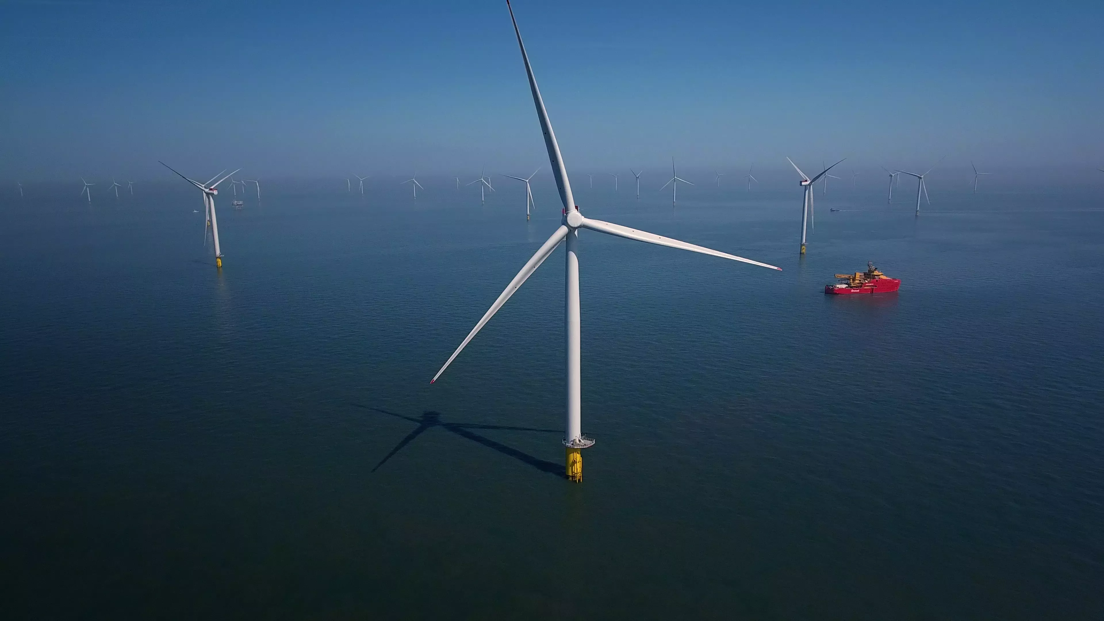 Race Bank wind farm