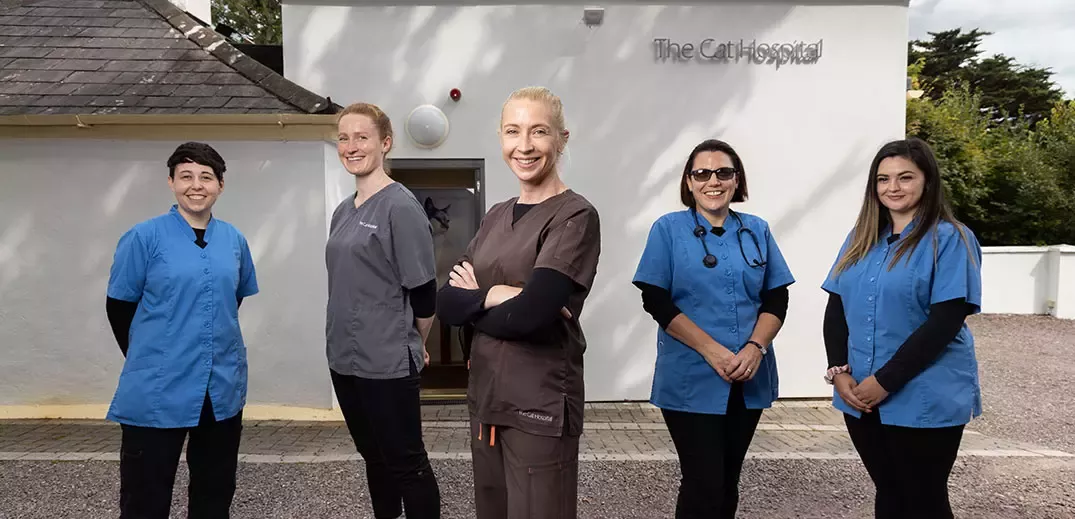 Cat Hospital