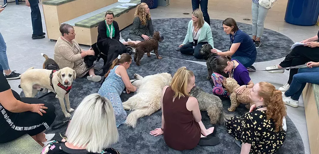 employees with their dogs