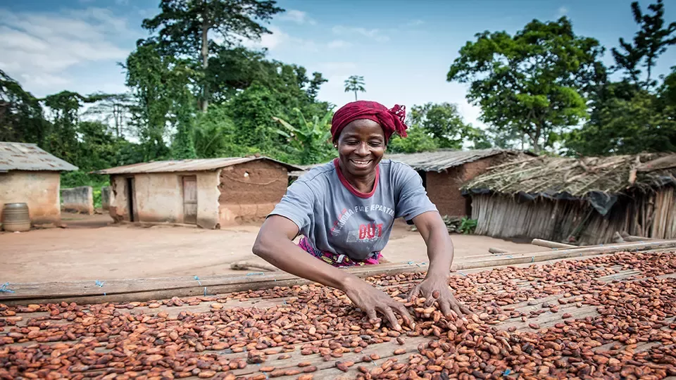 Introducing the Nestle Cocoa Series