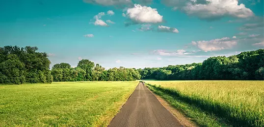 Road through green field