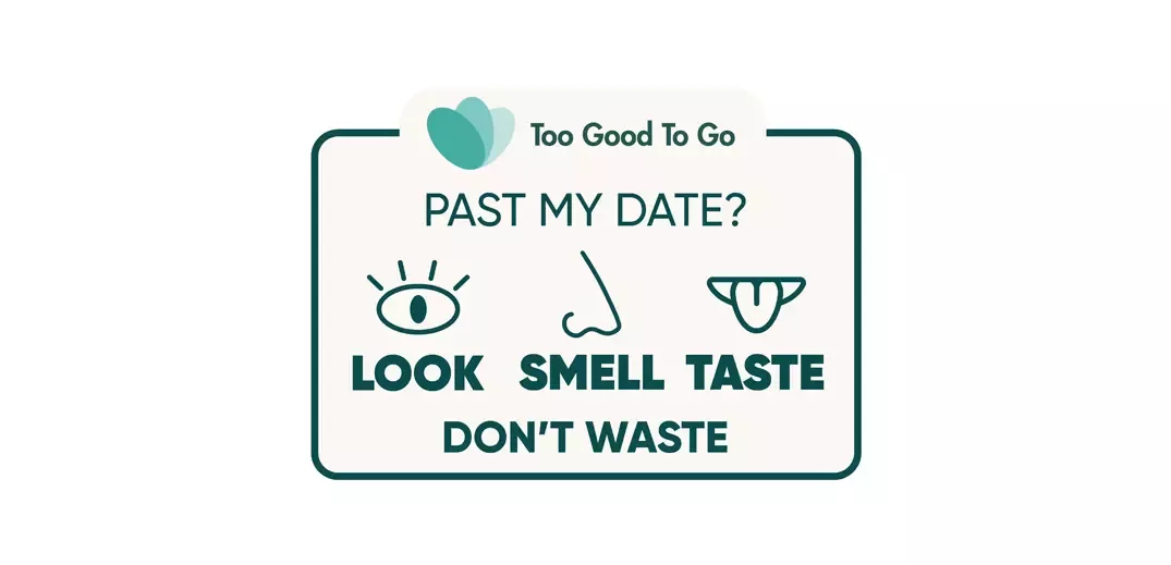look smell and taste