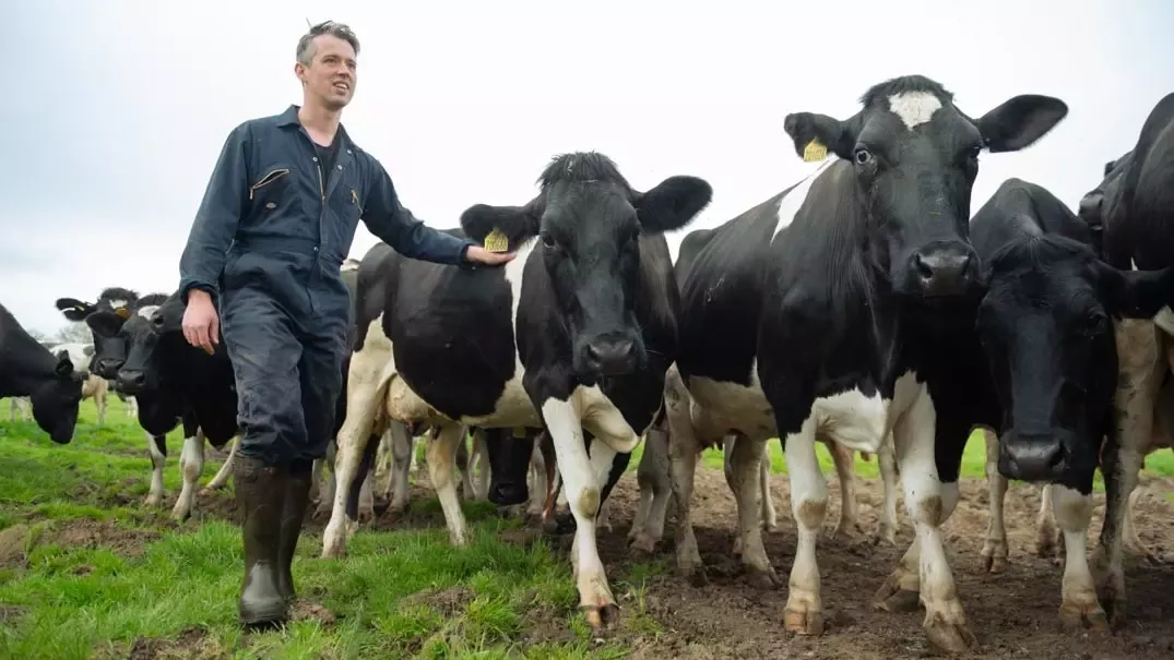 nestle locations dairy farm