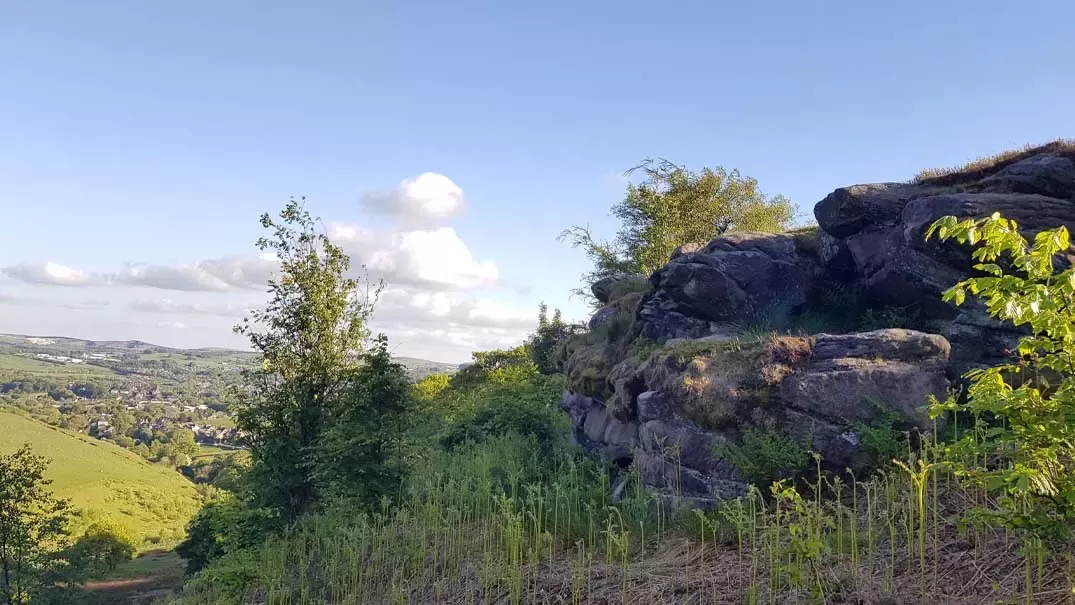 nature