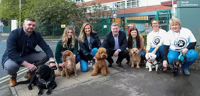 nestle york employees with their dogs near the office building