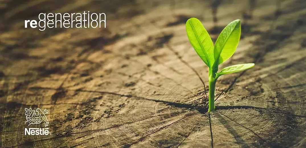 Generation Regeneration tree plantlet
