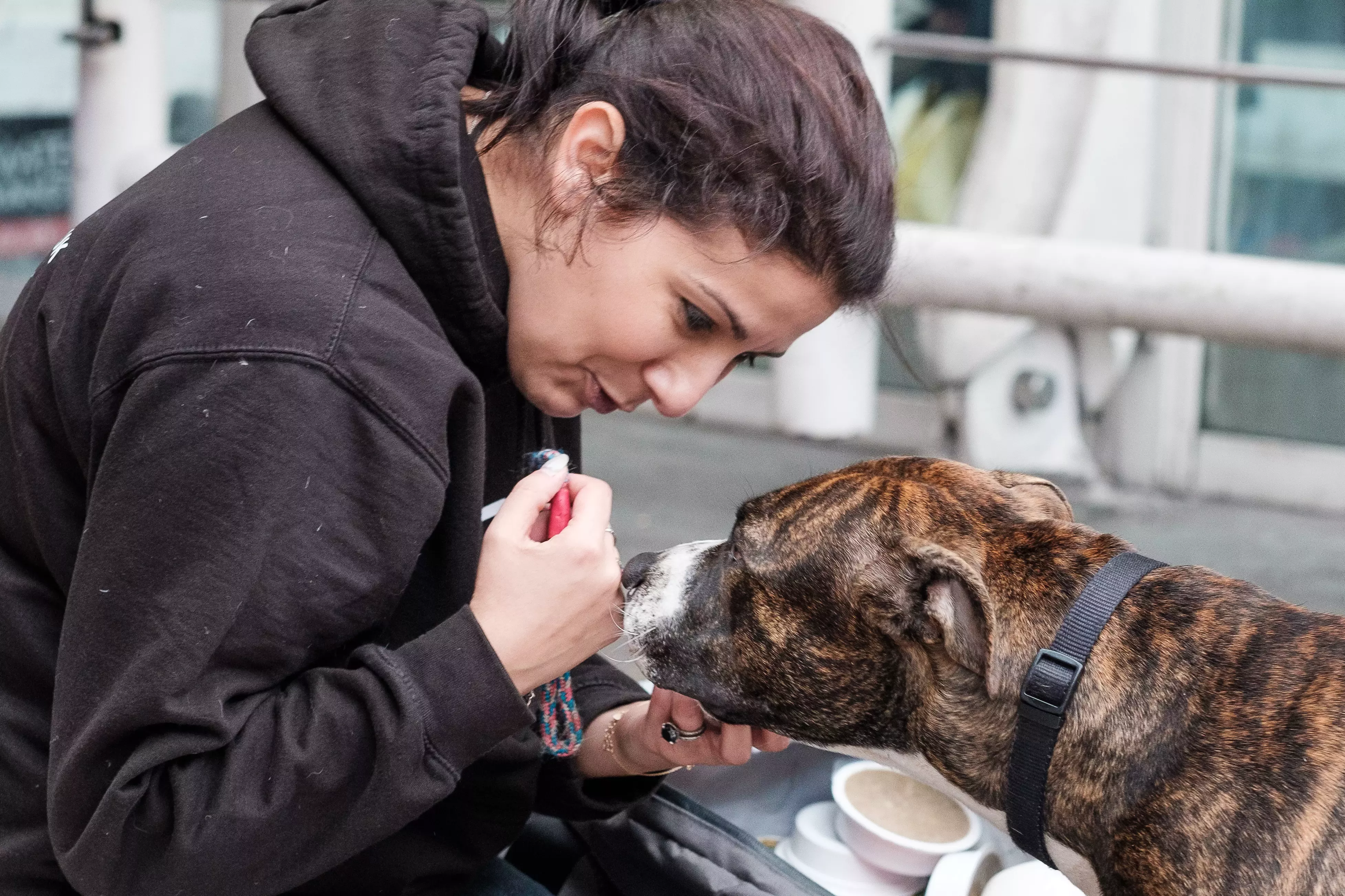 Street Vet