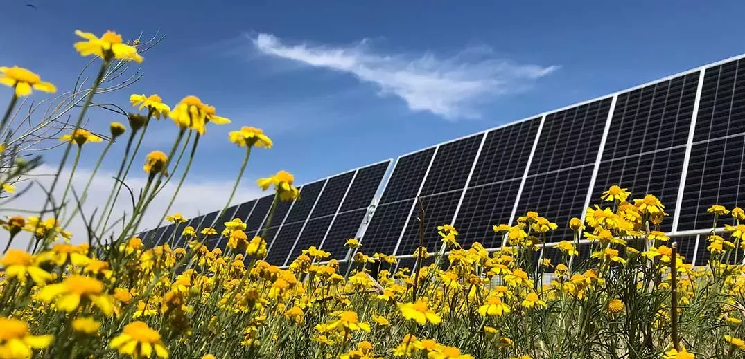 solar project