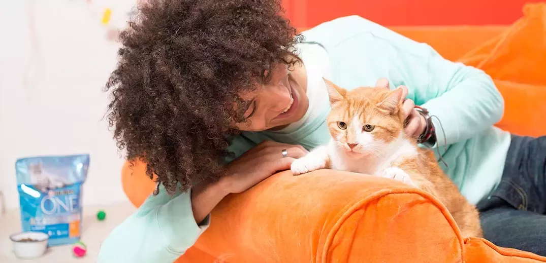 working-product-portfolio-purina-wide